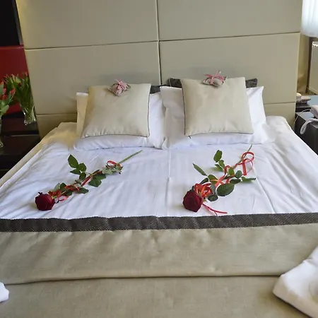 Ajax Hotel 3*